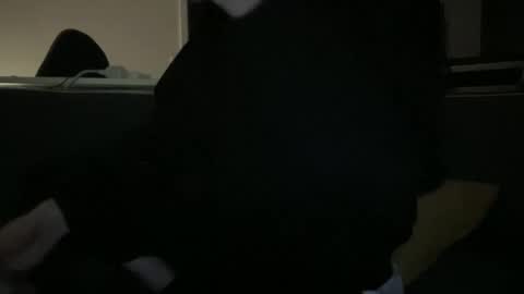 Snapshot of hchappel19 chatting on 10-01-25, 08:15 hchappel19 online show from 10-01-25, 08:15