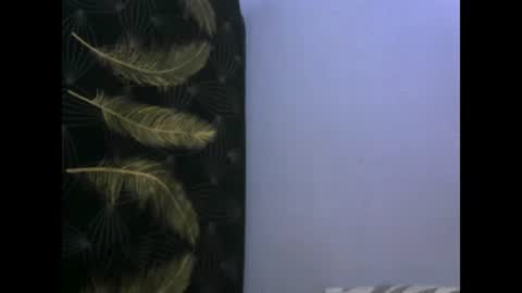 Snapshot of healyn chatting on 01-27-25, 03:47 healyn online show from 01-27-25, 03:47