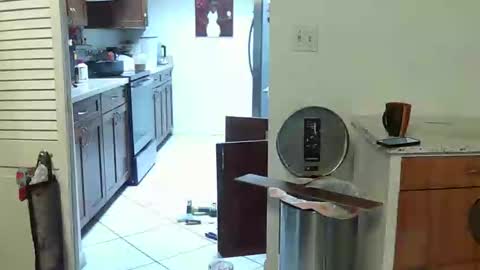 HE Black online show from 04-25-26, 06:16