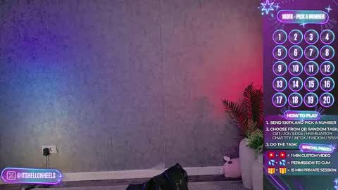 - show loyalty and subscribe -  online show from 11-17-25, 11:43