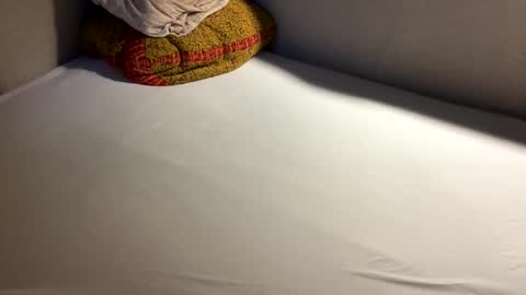 Snapshot of hello902 chatting on 09-16-25, 01:23 David Whinston Smith online show from 09-16-25, 01:23