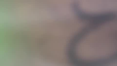 hellohowareyou66 online show from 11-29-25, 06:11