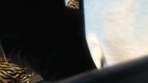 Helvell online show from 04-13-26, 11:05