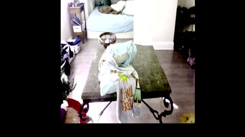 Snapshot of henryflapper chatting on 01-04-25, 07:44 HenryFlapper online show from 01-04-25, 07:44