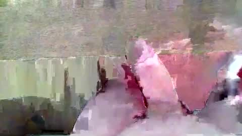 hera44 online show from 04-21-26, 05:50