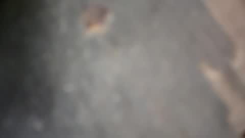 Snapshot of herletigre12345 chatting on 10-18-25, 05:32 herletigre12345 online show from 10-18-25, 05:32