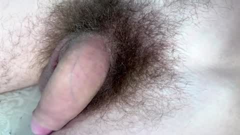 Snapshot of hey_arnold chatting on 01-29-25, 09:17 Arnold online show from 01-29-25, 09:17