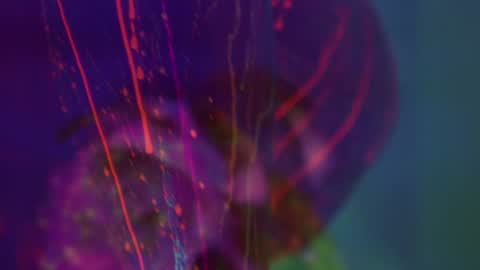 Alina online show from 09-08-25, 05:34