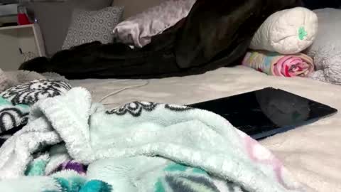 Bondage blondiie online show from 06-05-26, 04:30