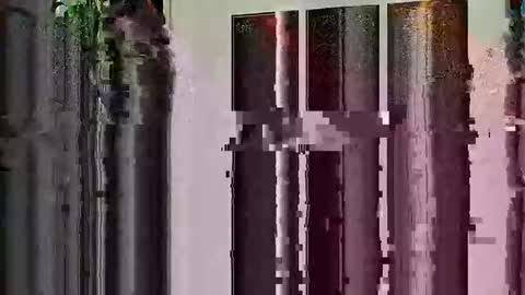 Highandhell online show from 02-19-26, 12:50