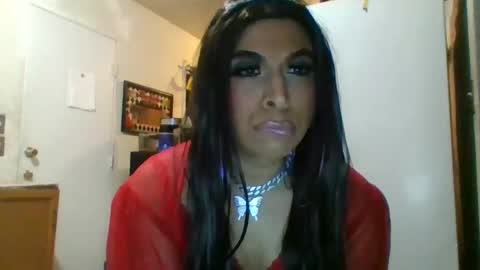 Snapshot of hihheelstranny chatting on 04-25-26, 10:18 hihheelstranny online show from 04-25-26, 10:18
