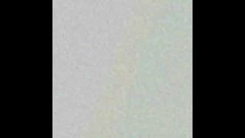 Hung top 4 furry dads online show from 03-09-25, 01:26