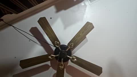 hoglegg99384194 online show from 01-13-25, 06:27