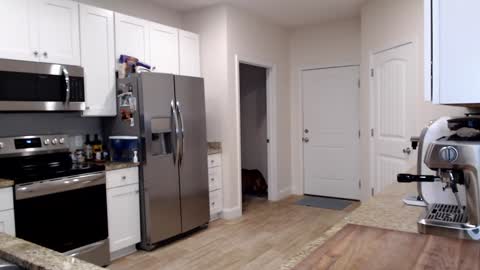 Snapshot of holihurricane chatting on 09-24-25, 11:30 Holi Hurricane online show from 09-24-25, 11:30