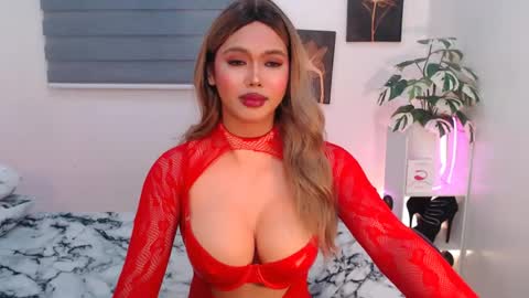 hollywoodstareme online show from 08-03-26, 06:33