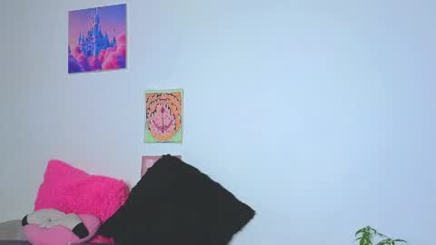     online show from 05-18-26, 11:43