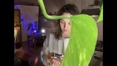 dori not holy get my tg channel with link from description under last photo online show from 02-01-26, 06:39