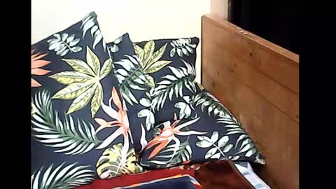 Snapshot of holygurl77 chatting on 10-14-25, 10:10 cristy online show from 10-14-25, 10:10