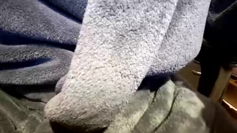 Neal online show from 03-23-26, 02:21