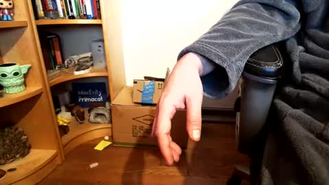 Neal online show from 06-04-26, 12:44