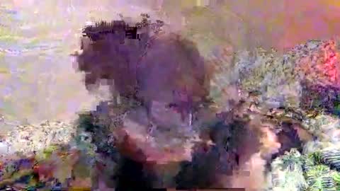 hometownwitch online show from 11-25-25, 06:19