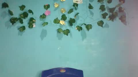 Queen online show from 11-13-25, 01:48