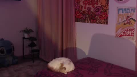 Snapshot of honeyypeaach chatting on 12-11-24, 12:12    online show from 12-11-24, 12:12