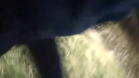 Snapshot of honky220557 chatting on 09-13-25, 12:10 Jovante online show from 09-13-25, 12:10