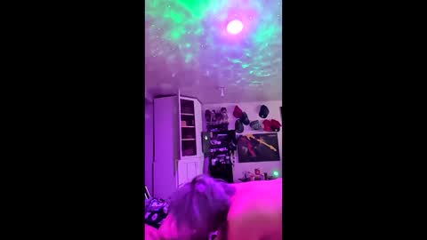 Snapshot of honky220557 chatting on 12-21-25, 07:48 Jovante online show from 12-21-25, 07:48