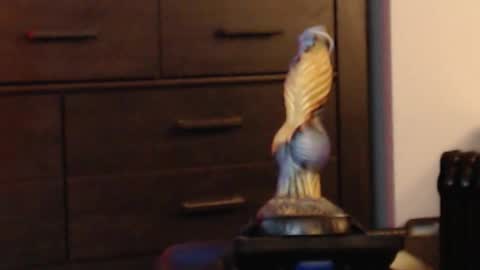 ItsReeleMe online show from 02-08-26, 04:38