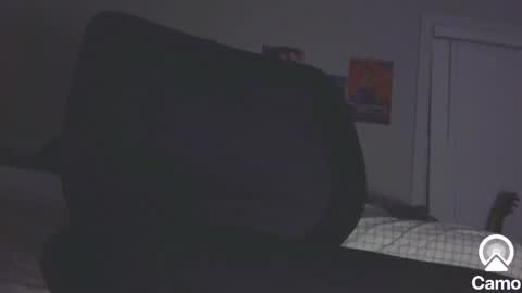 horny0g online show from 01-24-25, 04:59