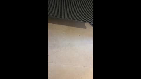 Snapshot of horny4more691 chatting on 03-10-26, 06:57 horny4more691 online show from 03-10-26, 06:57