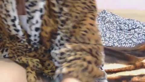 Serena online show from 03-02-25, 02:43