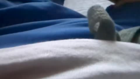 Snapshot of hornyallthetime6969696969 chatting on 07-08-26, 01:32 Tiny cock online show from 07-08-26, 01:32