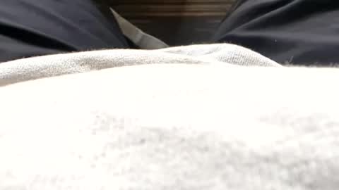 Snapshot of hornyallthetime6969696969 chatting on 07-15-26, 11:37 Tiny cock online show from 07-15-26, 11:37