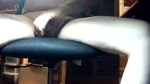 hornyman79916 online show from 07-12-26, 02:57