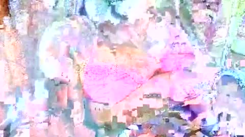 Snapshot of hot_baby_priya chatting on 10-12-25, 04:50 hot_baby_priya online show from 10-12-25, 04:50