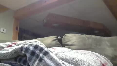 Hot and Horny online show from 05-01-26, 08:46