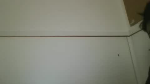 Snapshot of hotandwild2003 chatting on 02-16-26, 03:08 hotandwild2003 online show from 02-16-26, 03:08