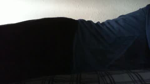 Snapshot of hotass159 chatting on 05-18-26, 03:51 Bitch for abuse online show from 05-18-26, 03:51