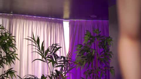 Anais online show from 10-24-25, 08:44