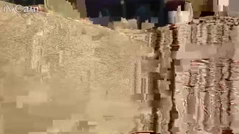 Snapshot of hotcapolx chatting on 11-17-25, 10:32 Hotcapolx online show from 11-17-25, 10:32