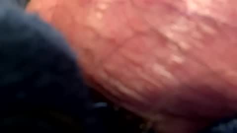 hotdog1124 online show from 01-06-25, 01:09