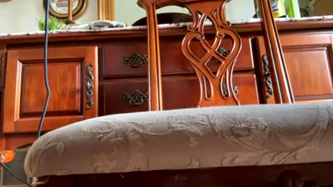 hotgirlbigbutt online show from 07-20-26, 09:17