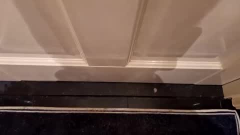 Hot Dutchie online show from 04-07-26, 08:09