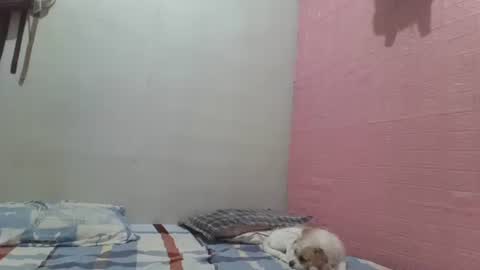 Snapshot of hotlavender chatting on 05-18-26, 04:40 hotlavender online show from 05-18-26, 04:40