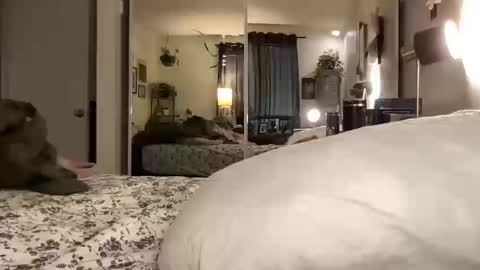 Snapshot of hotmama6666 chatting on 10-14-25, 12:00 Annabelle online show from 10-14-25, 12:00