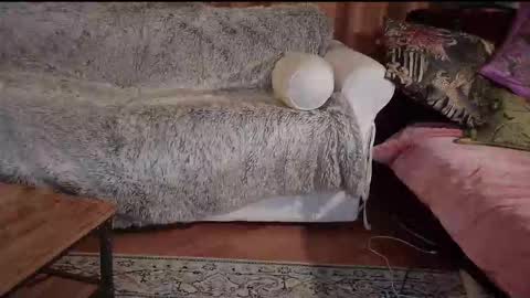 Betty boob online show from 10-31-25, 08:21