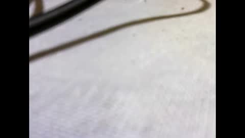 HottestPiny29 online show from 05-26-26, 04:03