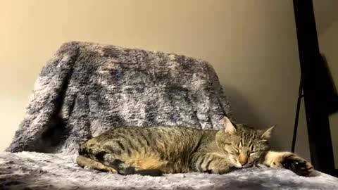 hottiewithabody101 online show from 04-17-26, 09:51